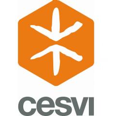 LOGO CESVI
